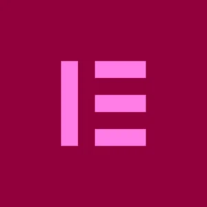 Elementor Pro (Installation & Activation)